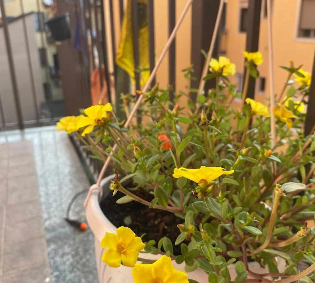 Luce Place Authentic Getaway Milaan Appartement